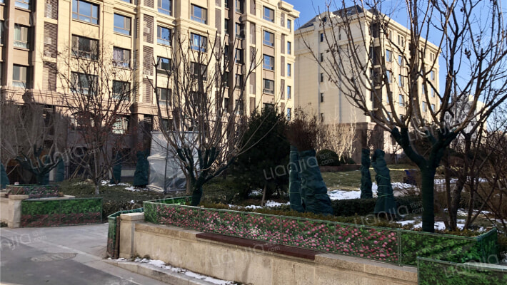 雍鑫红星国际广场外景图