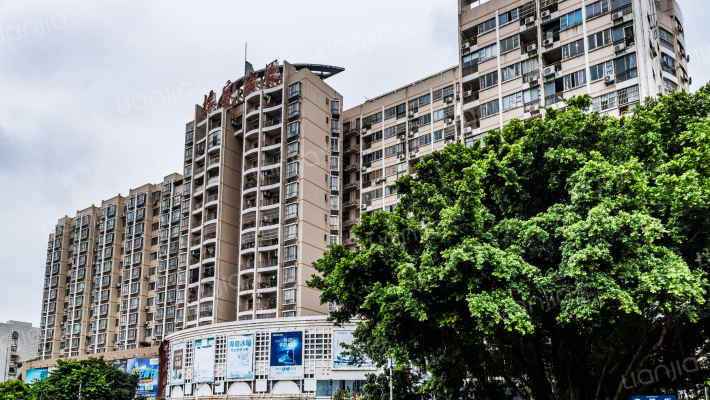 振宁商厦外景图