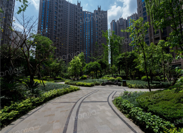 南湖半岛楼盘图片