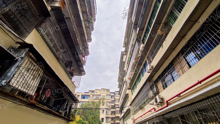 纺纱厂家属院外景图