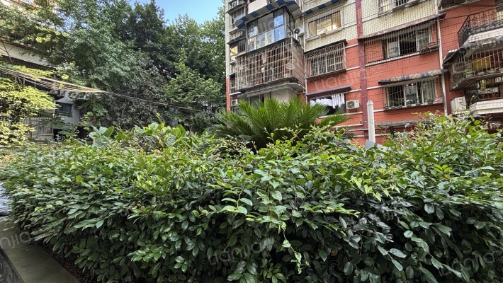 碧津家园外景图