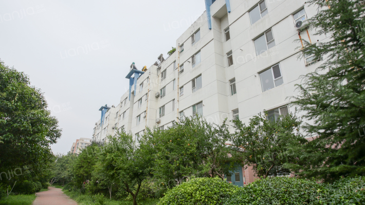 世纪花园梅园外景图