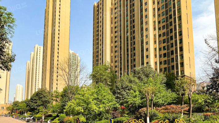 延兴门延北西区外景图