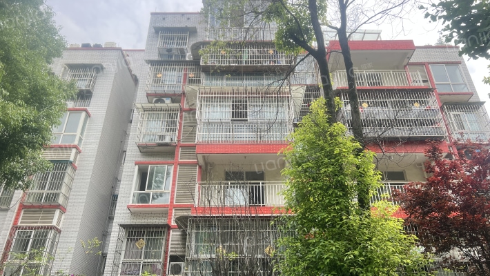 杜鹃城千万间外景图