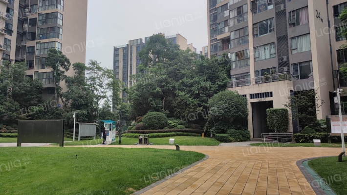 花样年龙年国际中心外景图