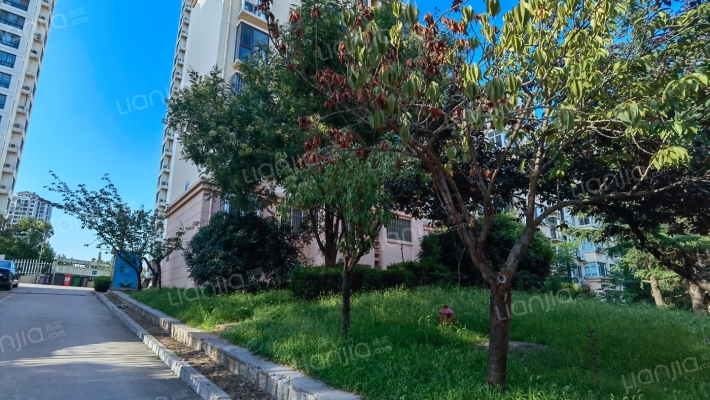 安居小区(薛家岛)外景图