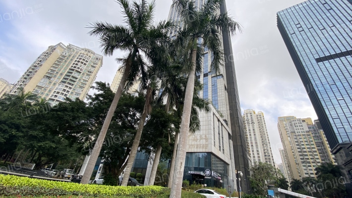 海垦国际金融中心外景图