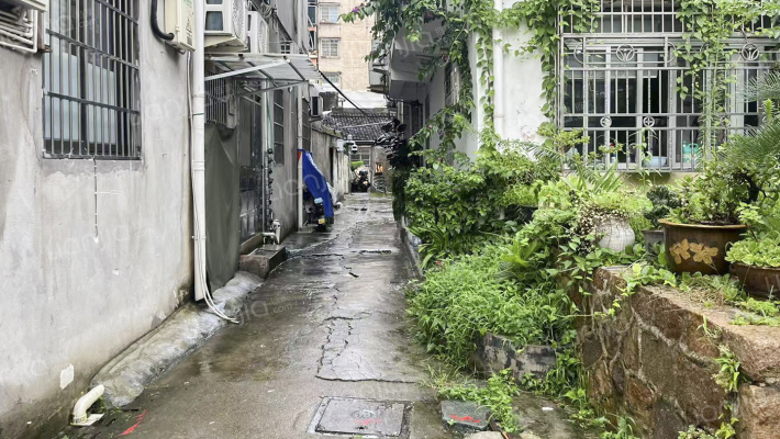 小虹桥5号外景图