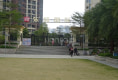深业东城国际24