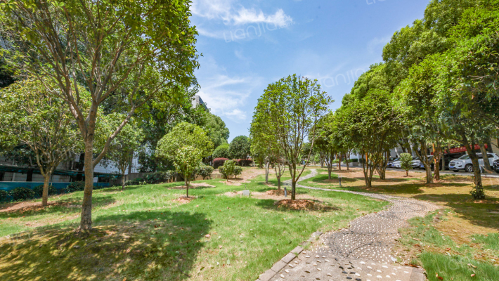 新国路小区外景图