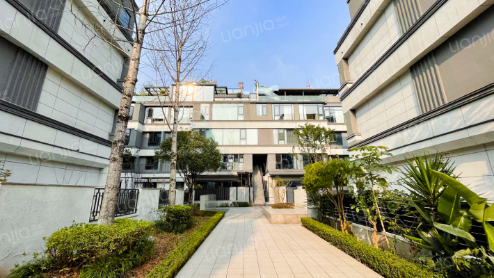 曲水风和松间外景图