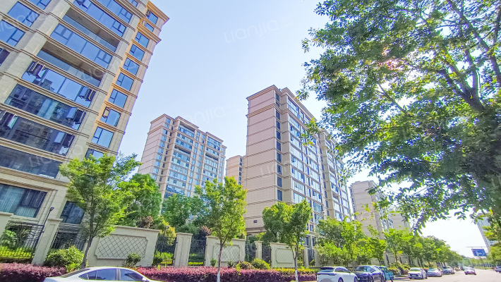 巨成·望湖湾外景图