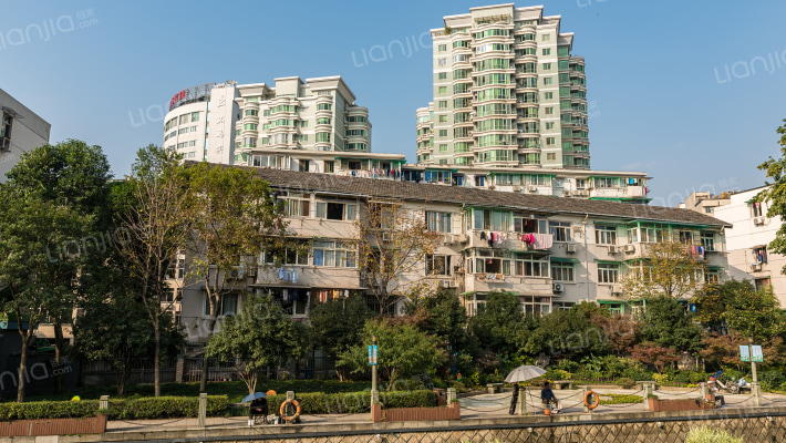 桃花河新村外景图