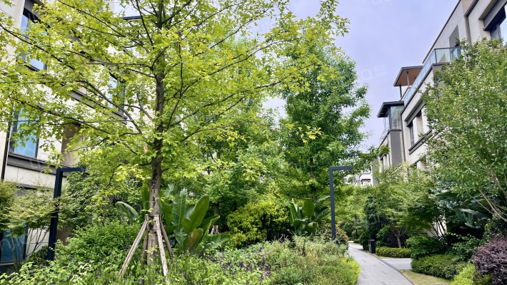 学宸名著S1组团外景图