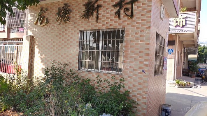 龙塘新村外景图