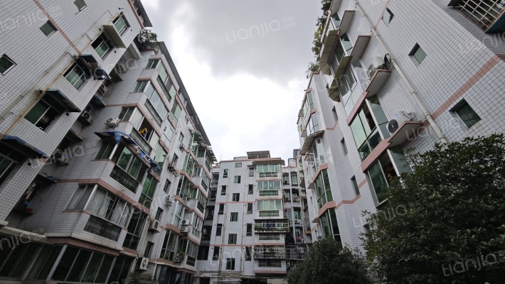 华阳桃李园外景图