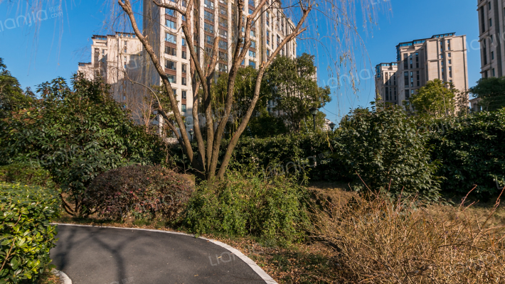 上海嘉誉湾房价怎么样?