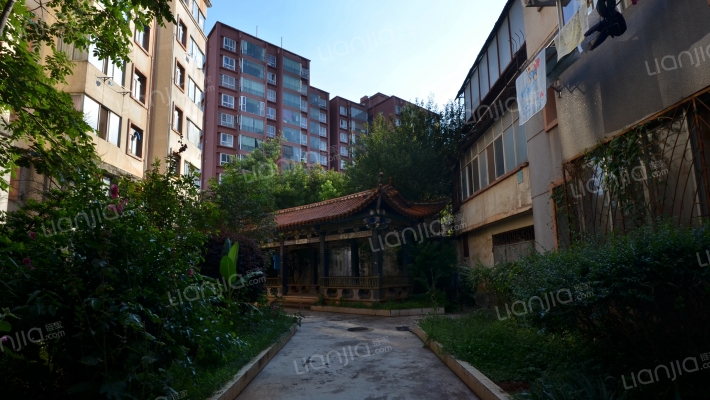 德缘小区南区外景图