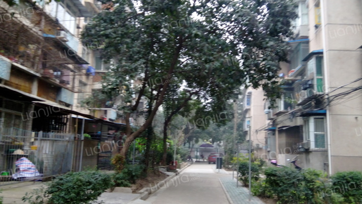 钢花村街113街坊外景图