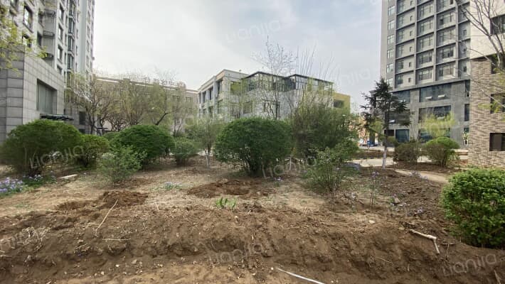 东森商务广场外景图