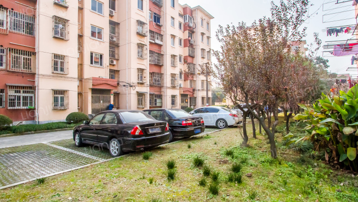 红旗花苑外景图