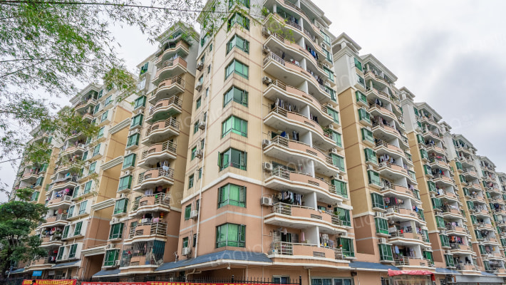 梅花新园外景图