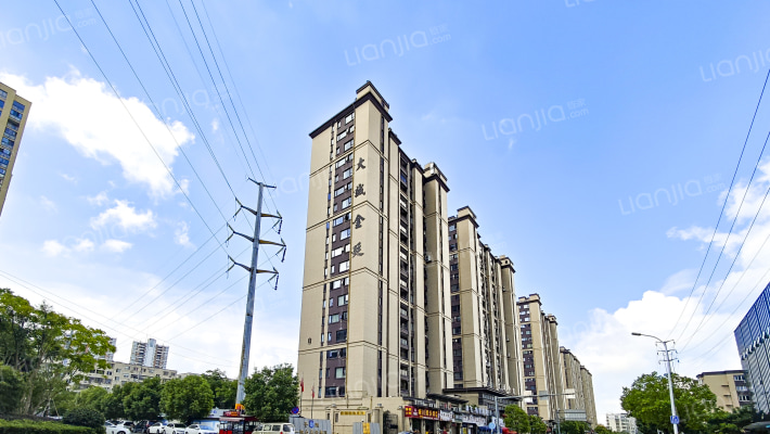 大诚金廷外景图