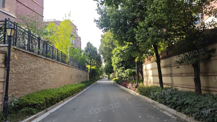 华新国际艺术家园外景图