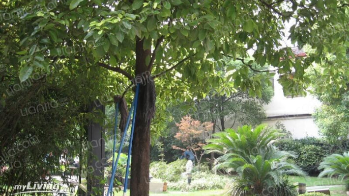 静安新格公寓外景图