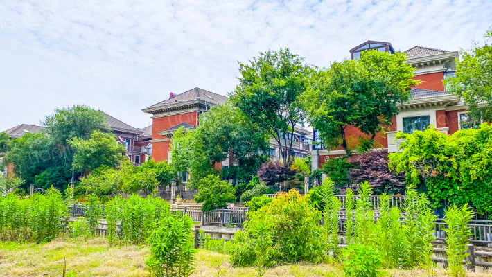 上置江南华府外景图