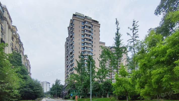 檀香山公园里外景图