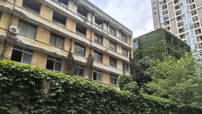 牛王庙下街58号外景图