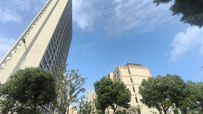 星樾湖滨外景图