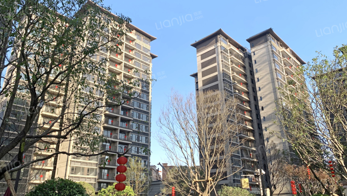 建发德信三堂院外景图