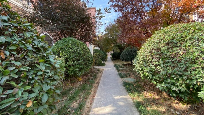 天一波尔卡小镇外景图