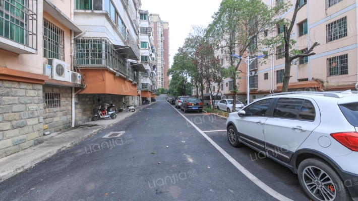 省林业运输中心外景图