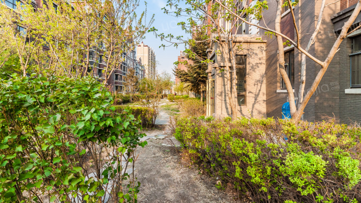 鲁辉•国际城荷兰小镇外景图