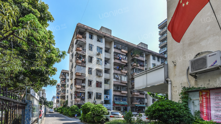 岗厦村统建楼外景图