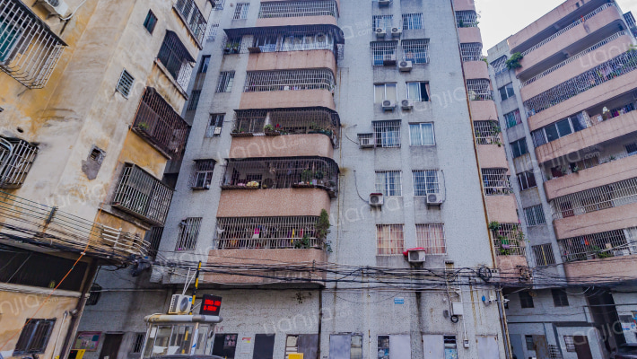 永安南园A区外景图