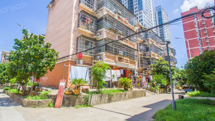 新湖和苑外景图