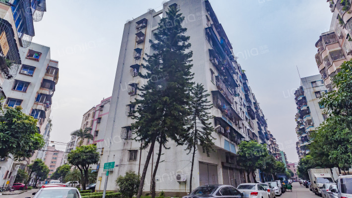 沙头小区外景图