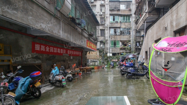 沙厂家属院外景图