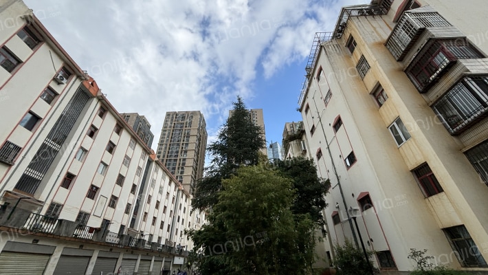 金禧一园外景图