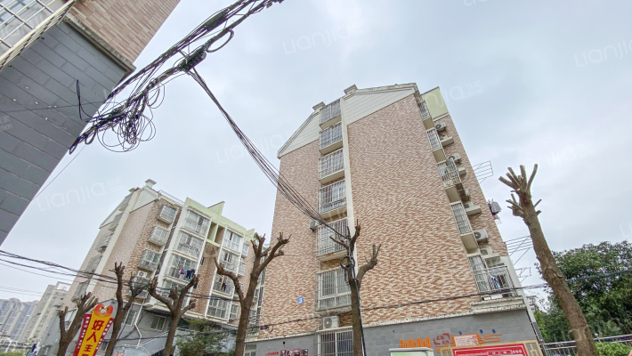 包公家园外景图