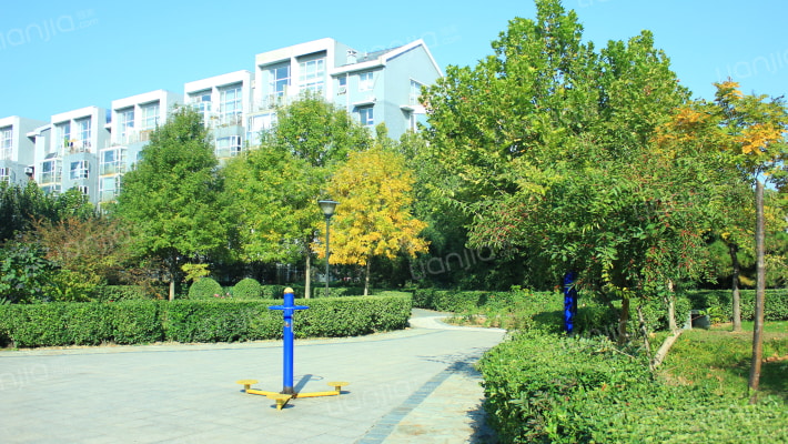 巴克摩界外景图