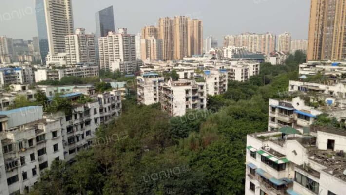 棕南西街4号外景图