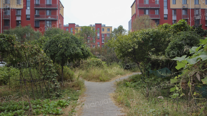 康园小区外景图