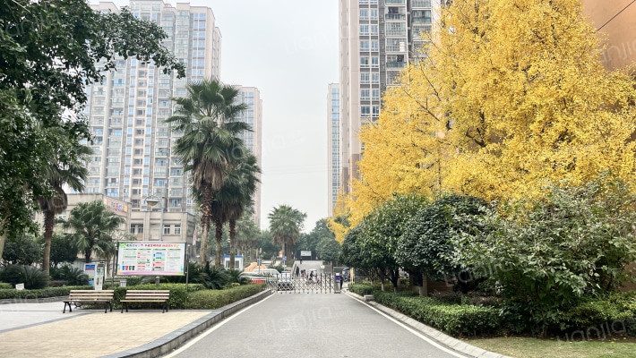 凤祥居B区外景图