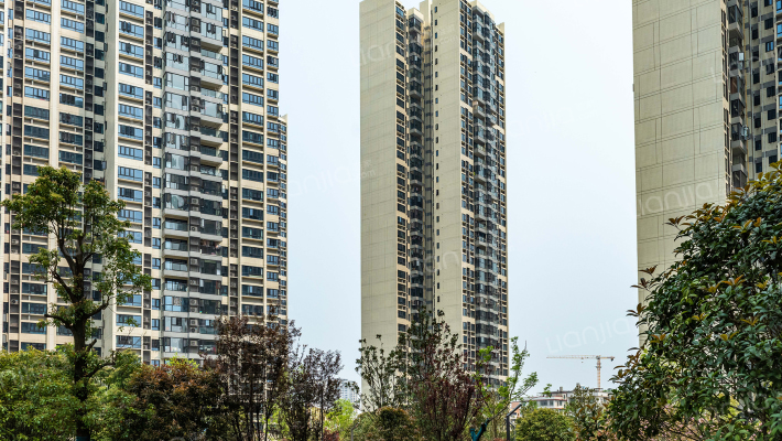 时代年华外景图