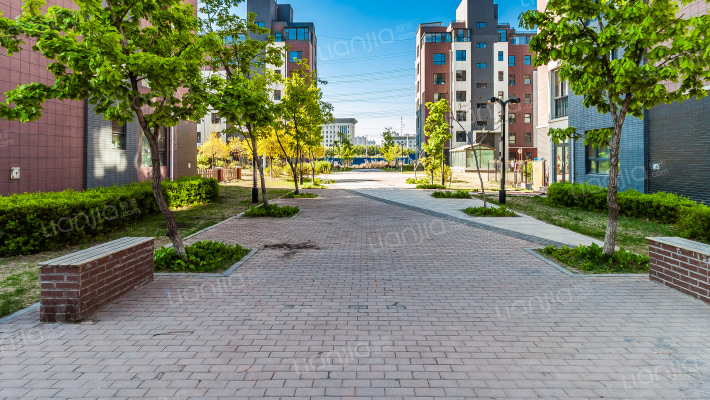 尊誉东方外景图